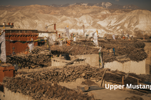Upper-Mustang