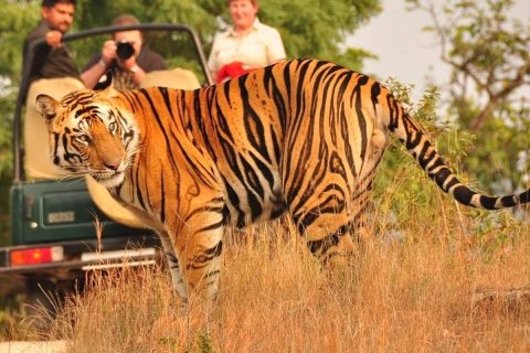 jeep-safari-bardiya